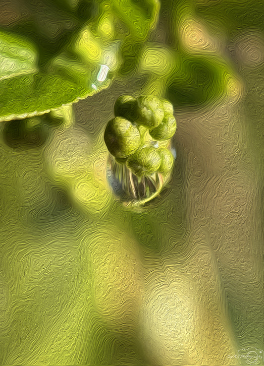 Digital Oil Painting - Superb Droplet V299
