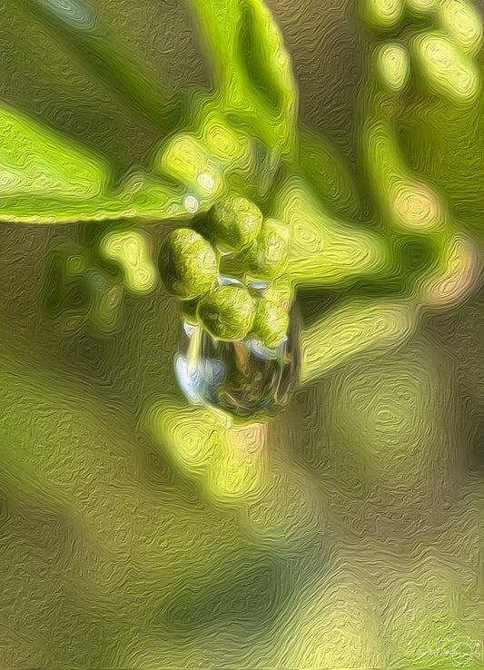 Digital Oil Painting - Superb Droplet V300