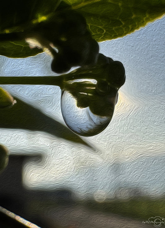 Digital Oil Painting - Superb Droplet V302