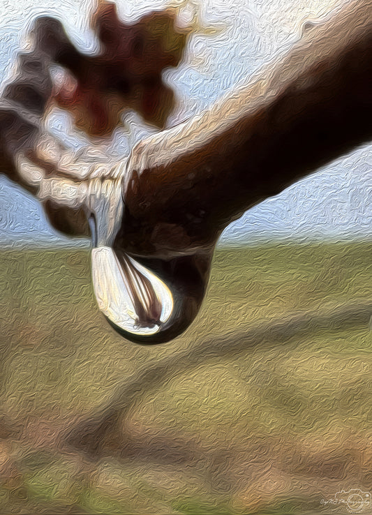 Digital Oil Painting - Superb Droplet V303