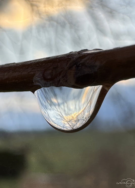 Nature Photography - Superb Droplet V304