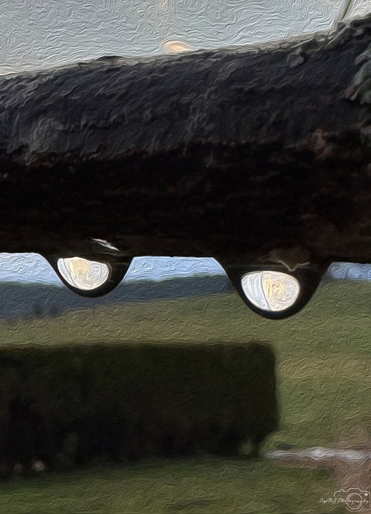 Digital Oil Painting - Superb Droplet V305