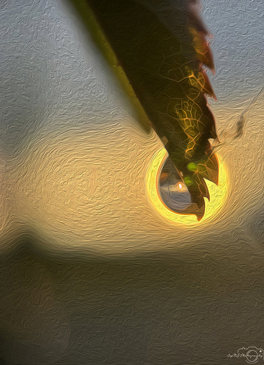 Digital Oil Painting - Superb Droplet V306