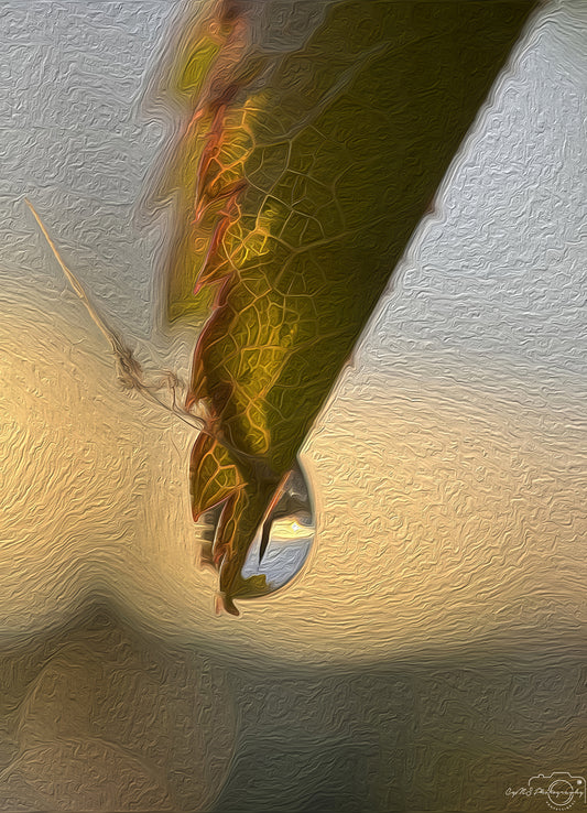 Digital Oil Painting - Superb Droplet V308