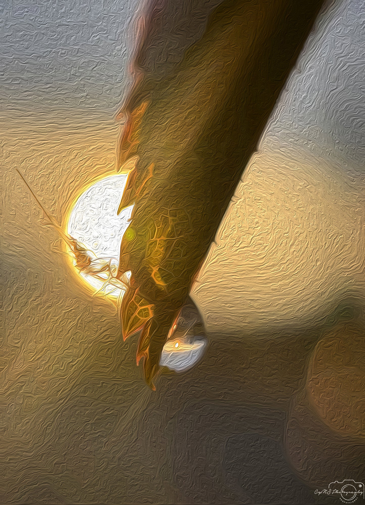 Beautiful water drop_V309_oil painting