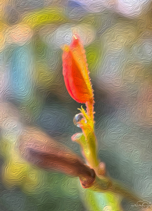 Digital Oil Painting - Superb Droplet V310