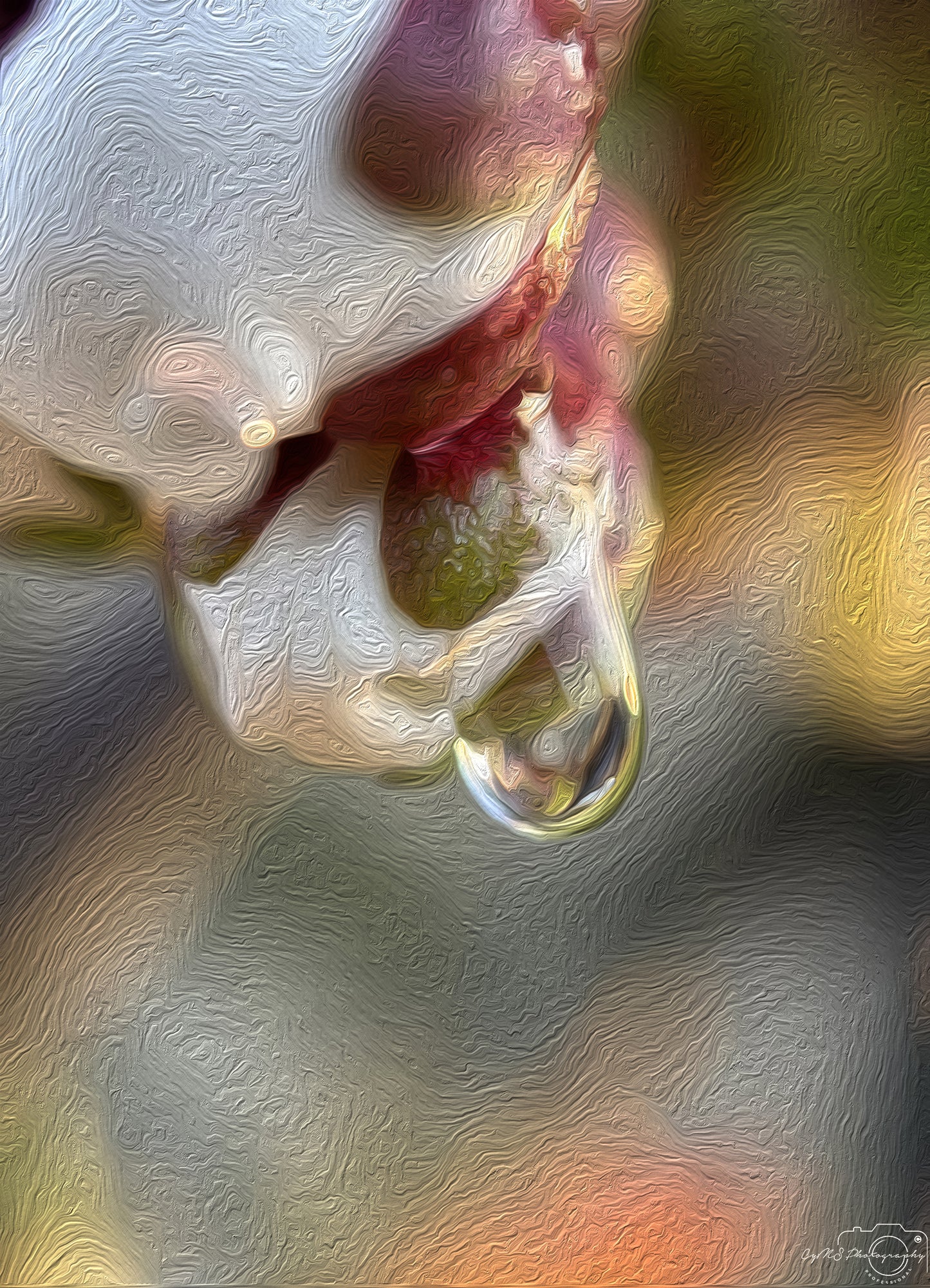Beautiful water drop_V317_oil painting