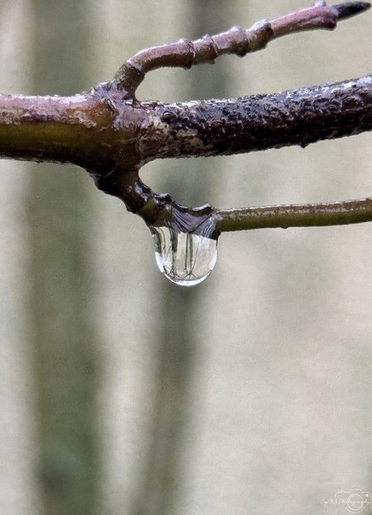 Beautiful water drop_V031 - Superbpictures