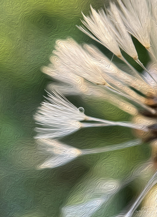 Digital Oil Painting - Superb Droplet V320