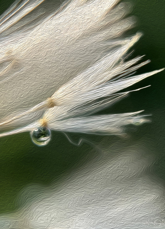 Digital Oil Painting - Superb Droplet V323