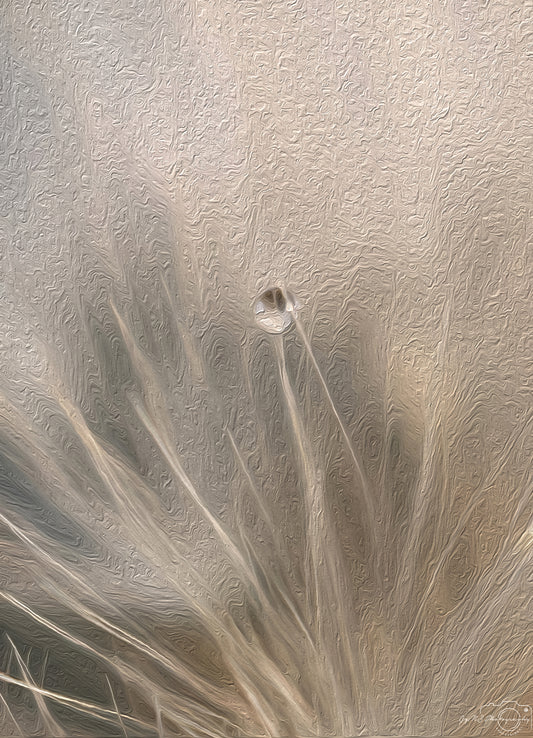 Digital Oil Painting - Superb Droplet V325