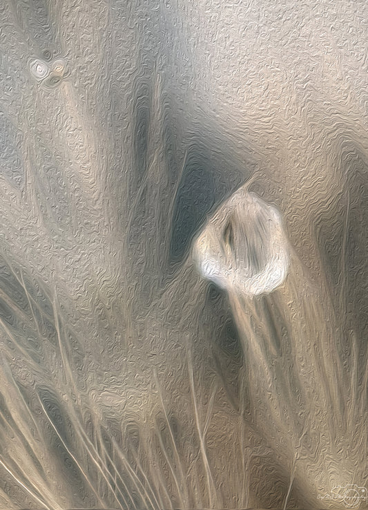 Digital Oil Painting - Superb Droplet V326
