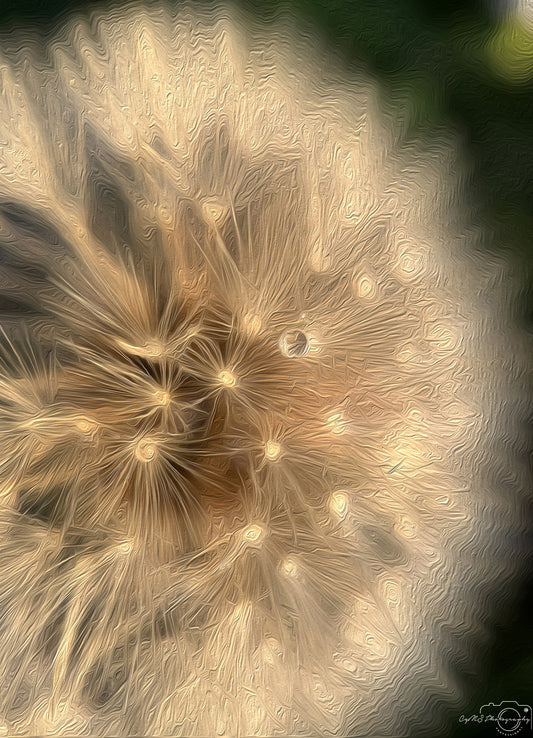 Digital Oil Painting - Superb Droplet V327