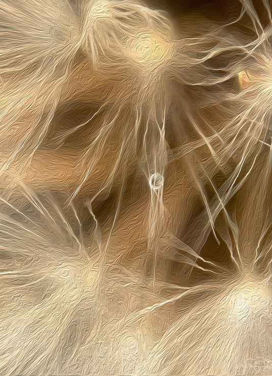 Digital Oil Painting - Superb Droplet V329