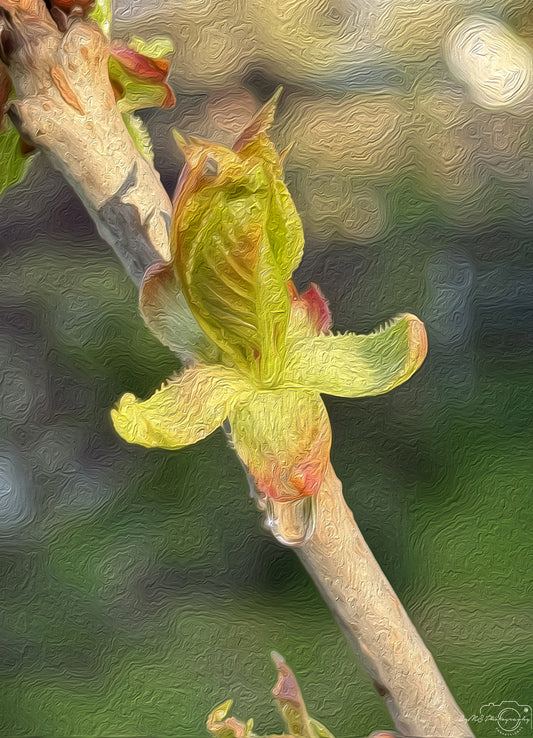 Digital Oil Painting - Superb Droplet V332