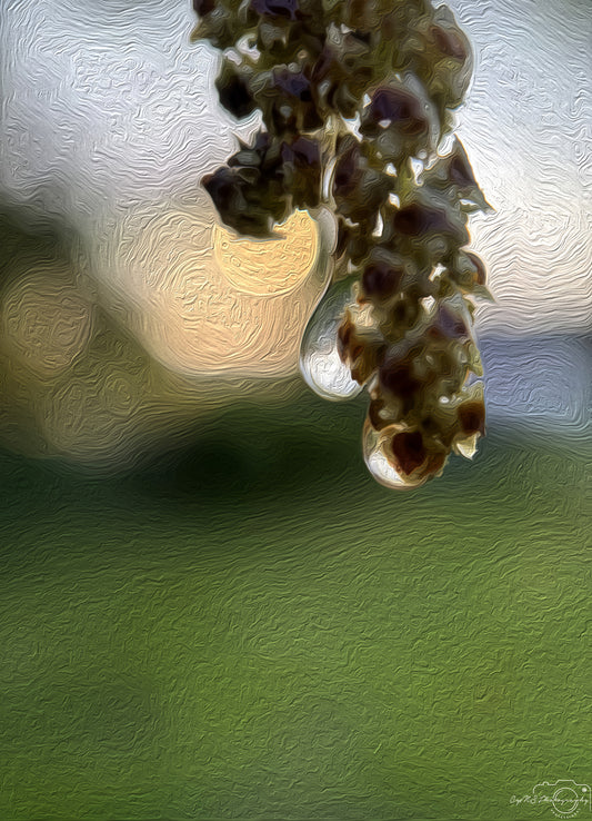 Digital Oil Painting - Superb Droplet V336