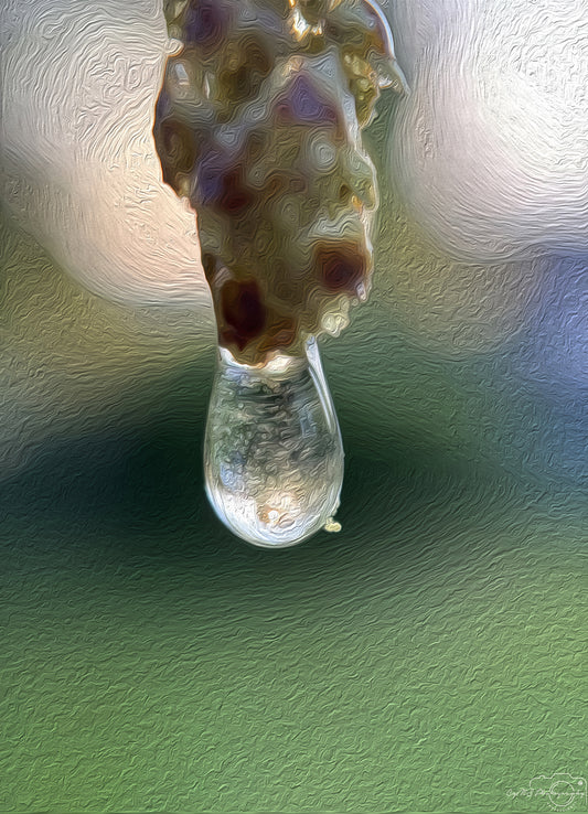 Digital Oil Painting - Superb Droplet V338