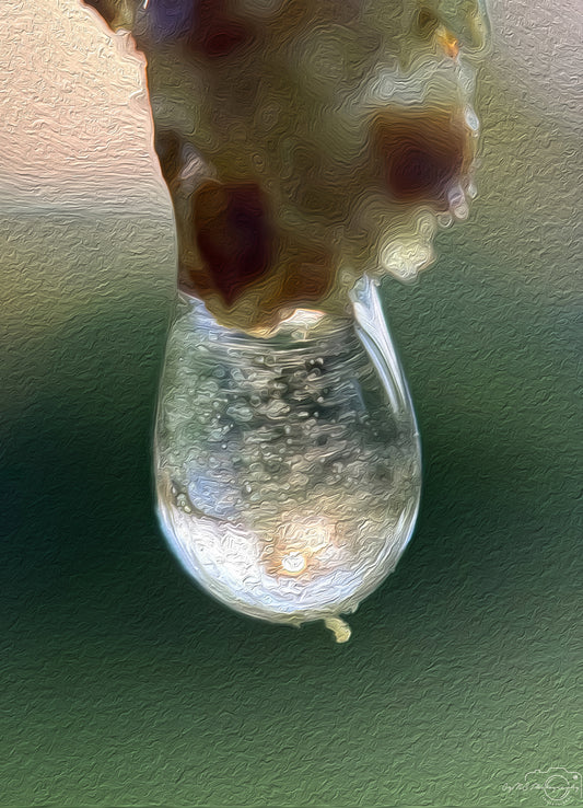 Digital Oil Painting - Superb Droplet V339