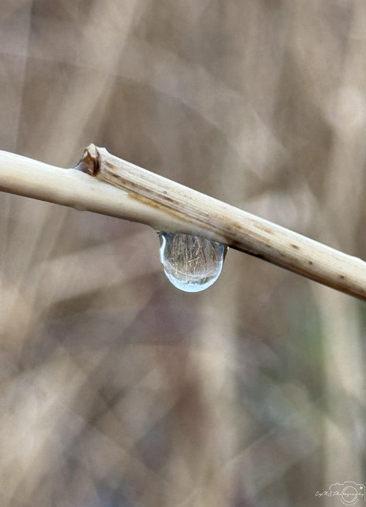 Beautiful water drop_V033 - Superbpictures