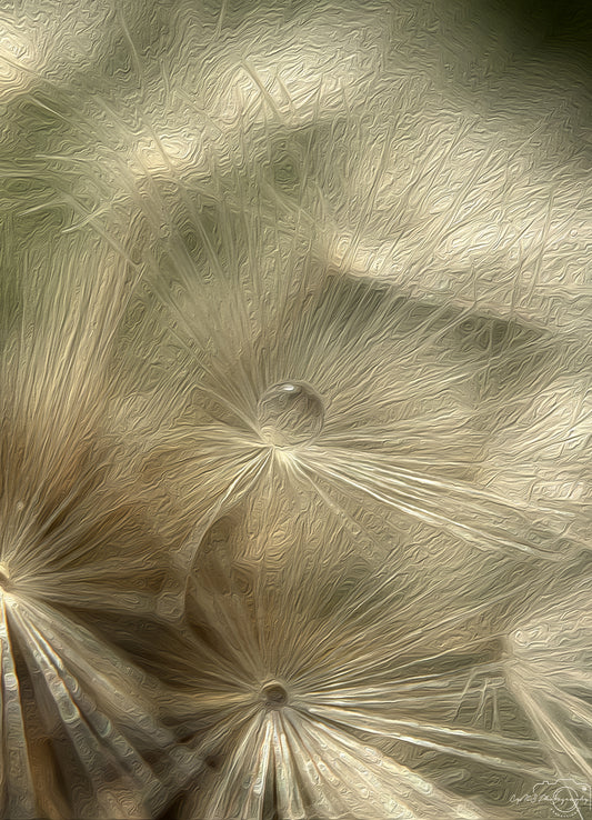 Digital Oil Painting - Superb Droplet V340