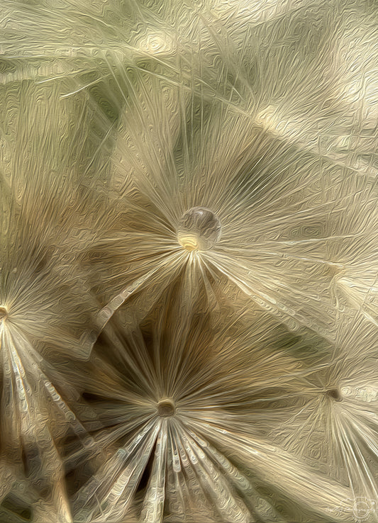 Digital Oil Painting - Superb Droplet V341