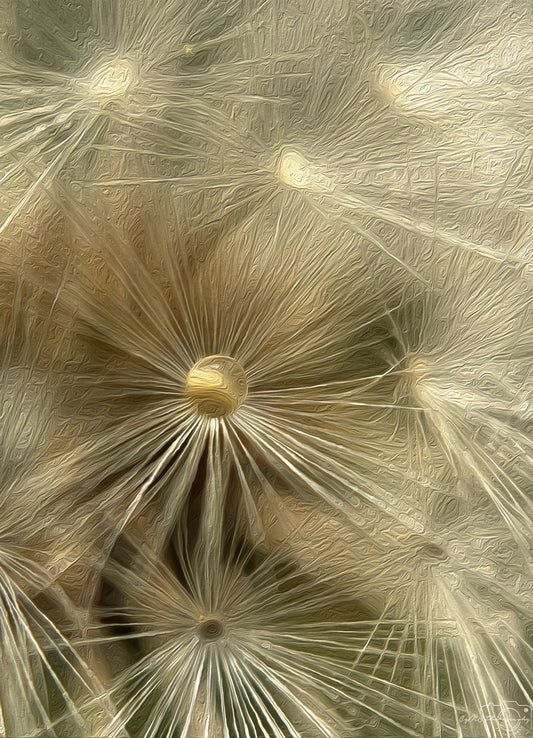 Digital Oil Painting - Superb Droplet V342