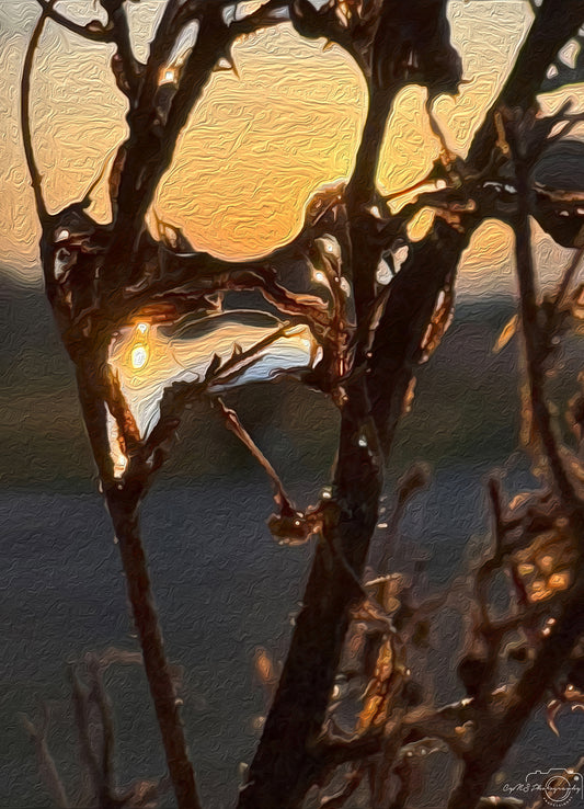 Digital Oil Painting - Superb Droplet V344