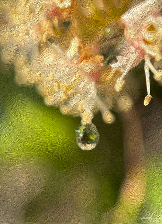 Digital Oil Painting - Superb Droplet V347