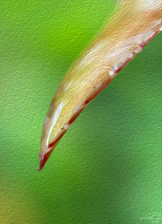 Digital Oil Painting - Superb Droplet V348