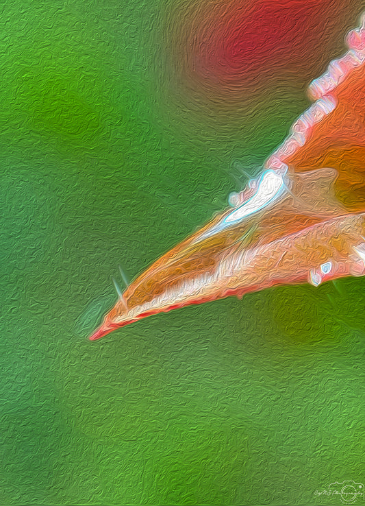 Digital Oil Painting - Superb Droplet V349