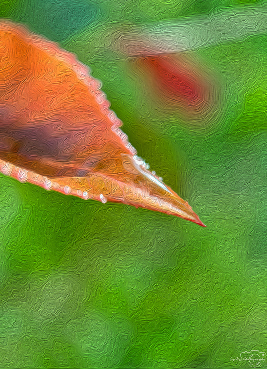 Digital Oil Painting - Superb Droplet V350