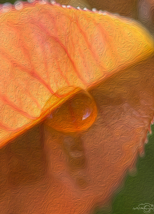 Digital Oil Painting - Superb Droplet V351