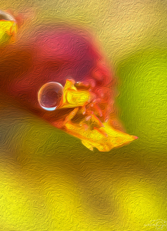 Digital Oil Painting - Superb Droplet V353