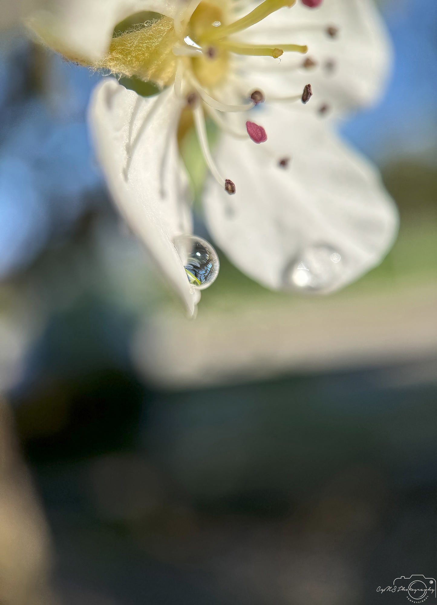 Beautiful water drop_V357