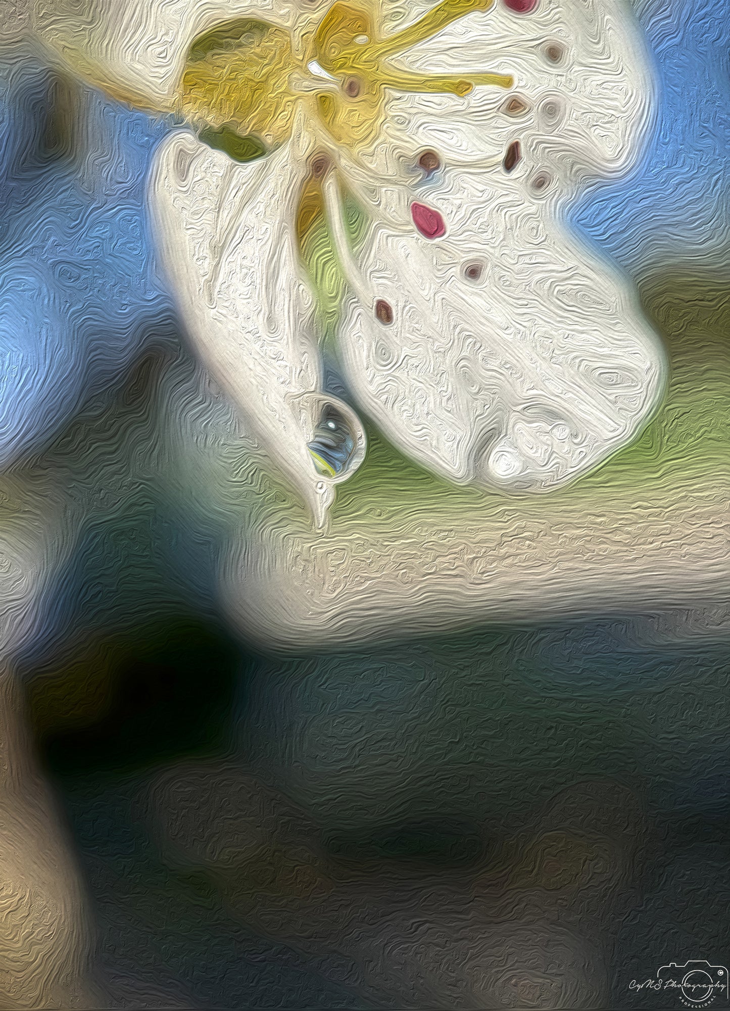 Beautiful water drop_V357_oil painting
