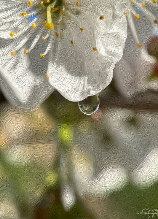 Digital Oil Painting - Superb Droplet V358