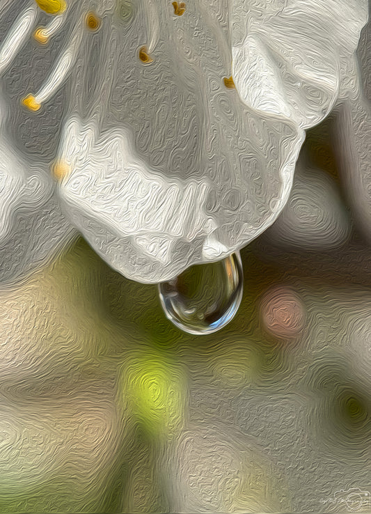 Digital Oil Painting - Superb Droplet V360
