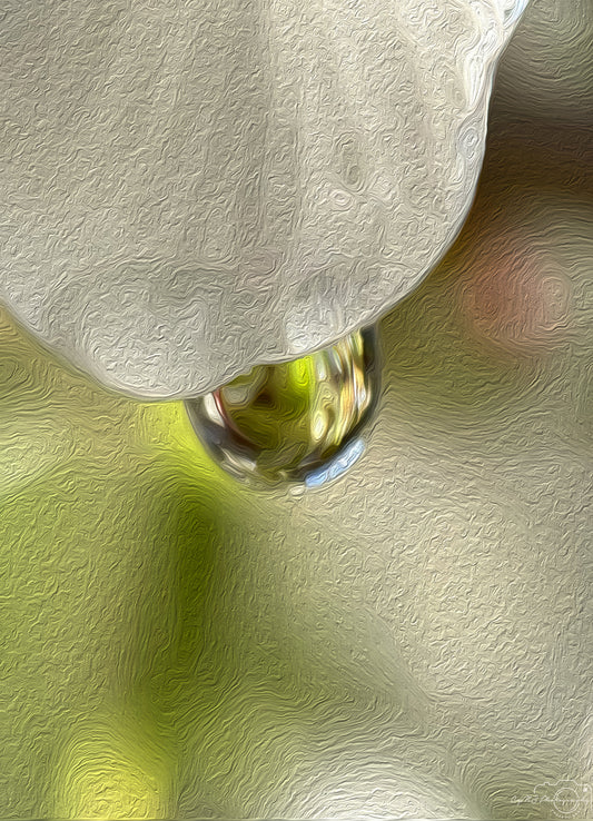 Digital Oil Painting - Superb Droplet V361