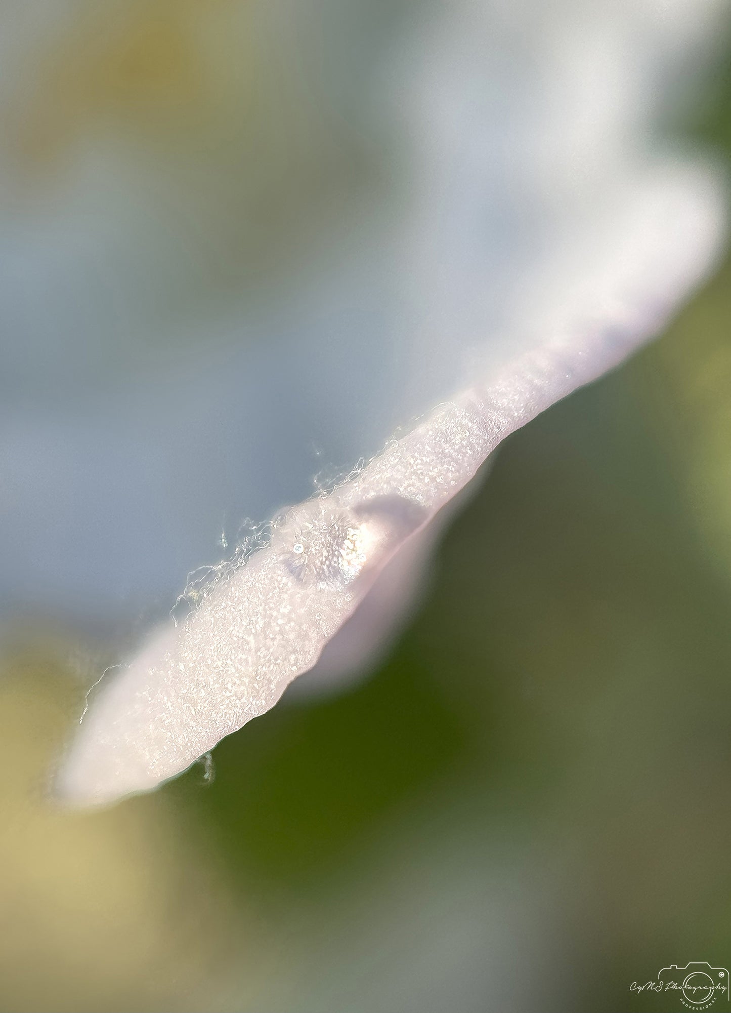 Beautiful water drop_V362