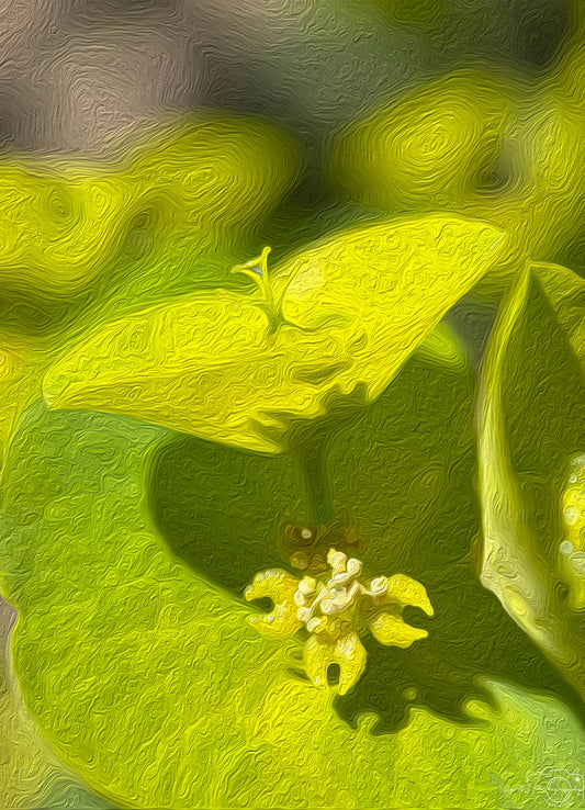 Digital Oil Painting - Superb Droplet V365