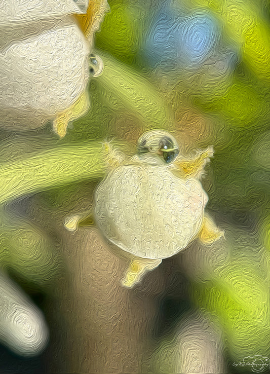 Digital Oil Painting - Superb Droplet V367