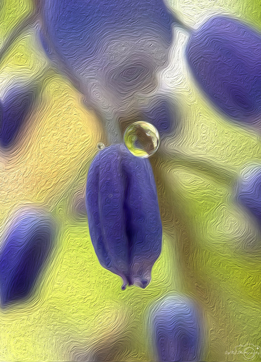 Digital Oil Painting - Superb Droplet V368
