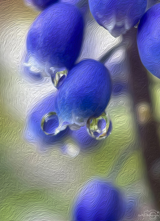Digital Oil Painting - Superb Droplet V369