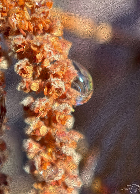 Digital Oil Painting - Superb Droplet V370