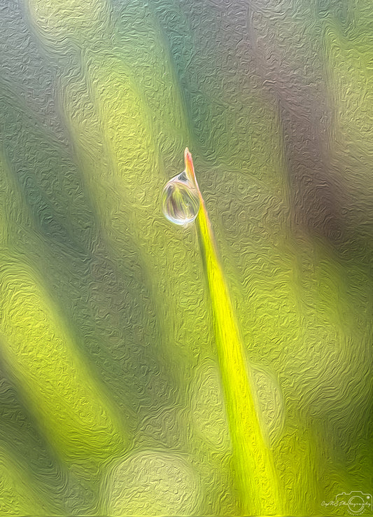 Digital Oil Painting - Superb Droplet V372