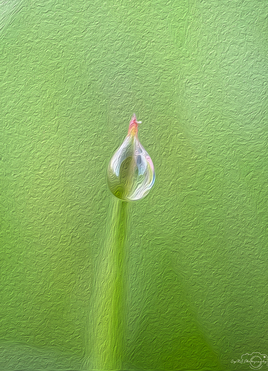 Digital Oil Painting - Superb Droplet V373