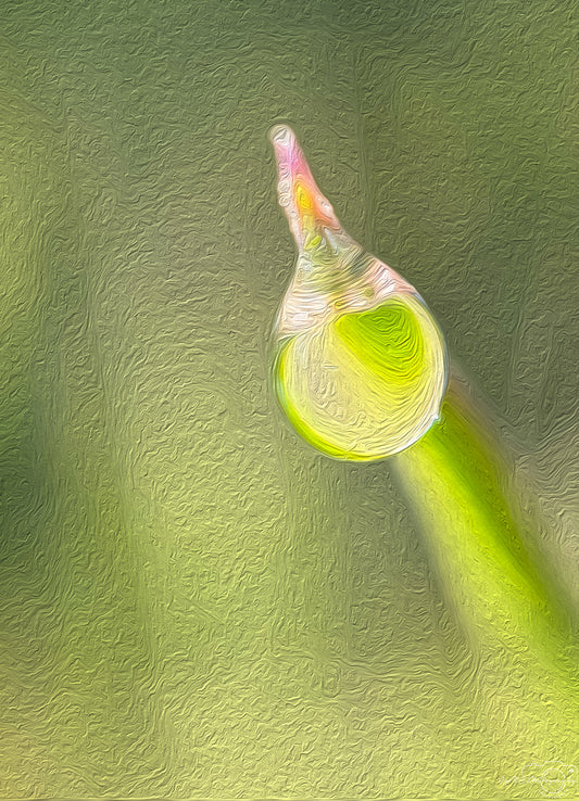 Digital Oil Painting - Superb Droplet V374