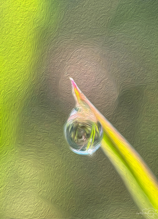 Digital Oil Painting - Superb Droplet V377