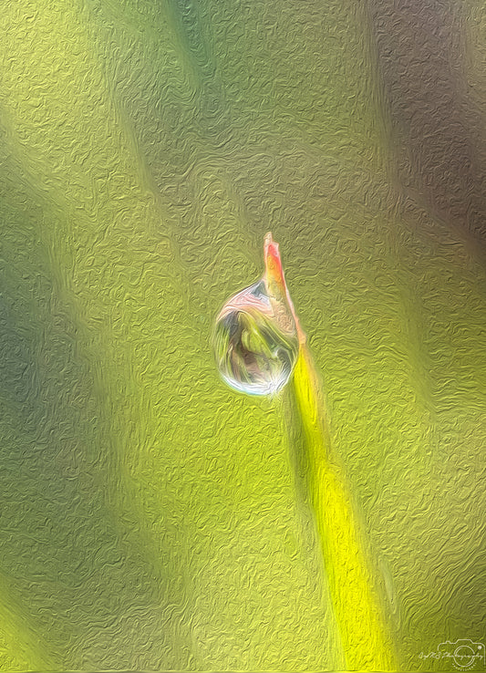 Digital Oil Painting - Superb Droplet V378