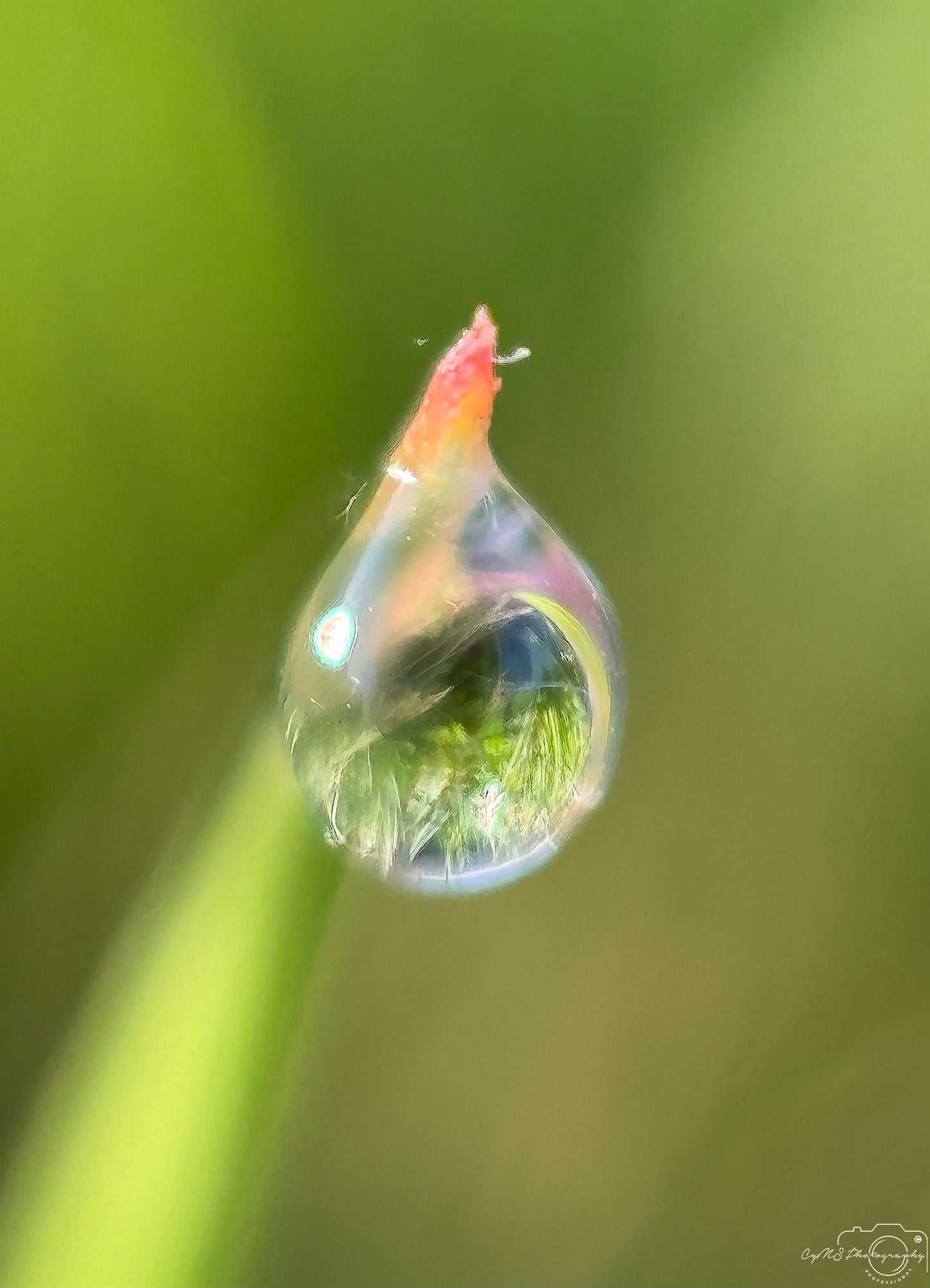 Belle goutte d'eau_V379